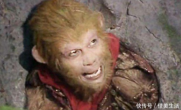 花果山|难怪孙悟空被擒之后,三界也无人敢闯花果山,你看那4个老猴来历