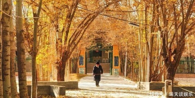 心境|扫地眼尘净,焚香心境清