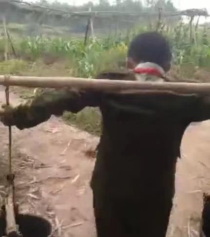 父母|“妈妈，我不想学习了！”这位妈妈的回答，让无数父母震惊羞愧