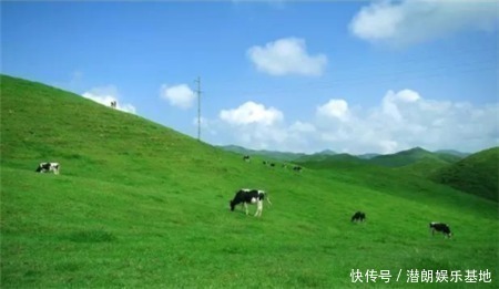 草原|一望无际的大草原上，为什么不长树看完解开多年疑惑