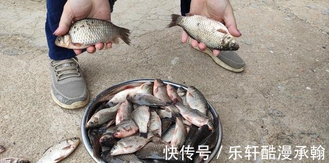 冬季野钓请避开这几个坑,大板鲫拉到手软