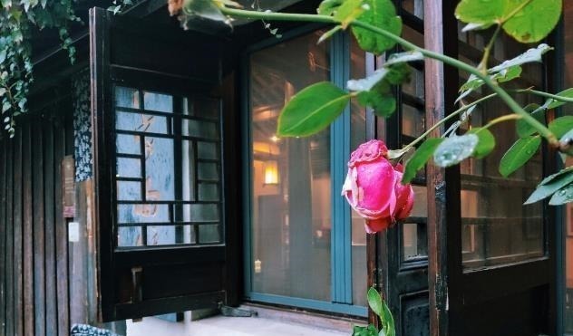 为了养花种菜,奶奶花160万买了郊区的别墅,3年之后,后悔了