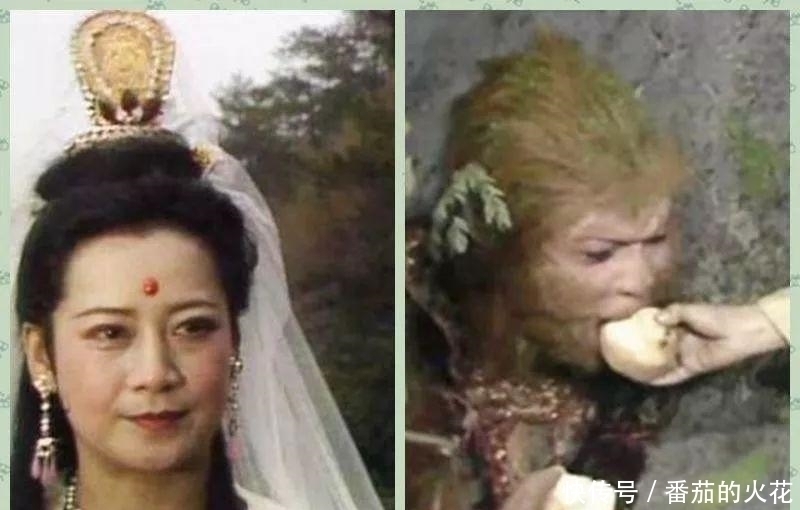 西游记|放牛童子没有摘桃子给孙悟空吃他去五行山也不是为了看望孙悟空