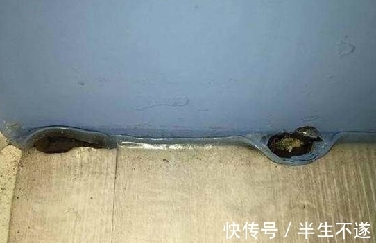 装修|装修半年地板长出“怪东西” 诡异的模样吓坏网友