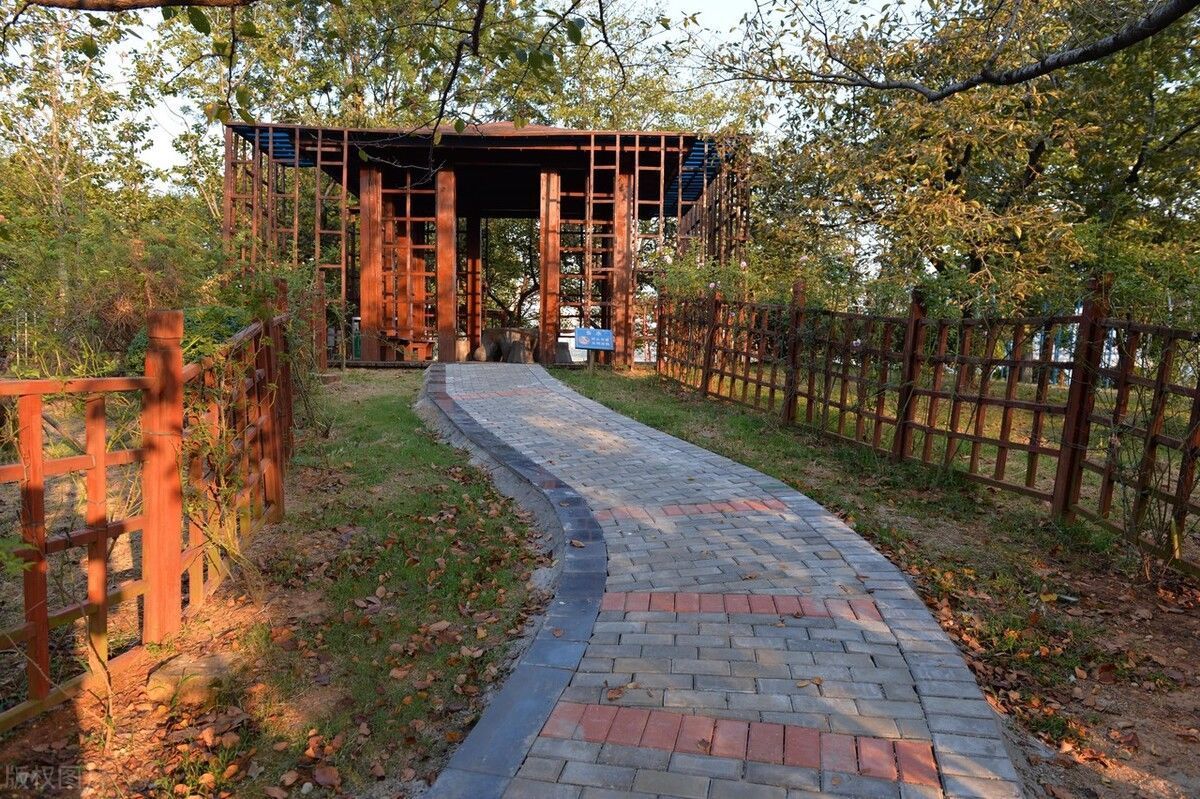 孔子作&《周易》的智慧:不要轻视饮食,饮食有时候会决定命运