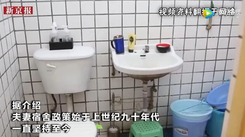 宿舍|大学推出“夫妻宿舍”?!热搜了