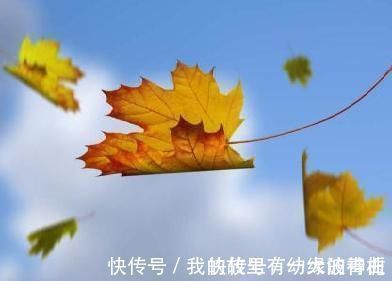 开篇@陆游夏末郊游,写下一首七律,开篇就直抒胸臆,尾联更值得细读