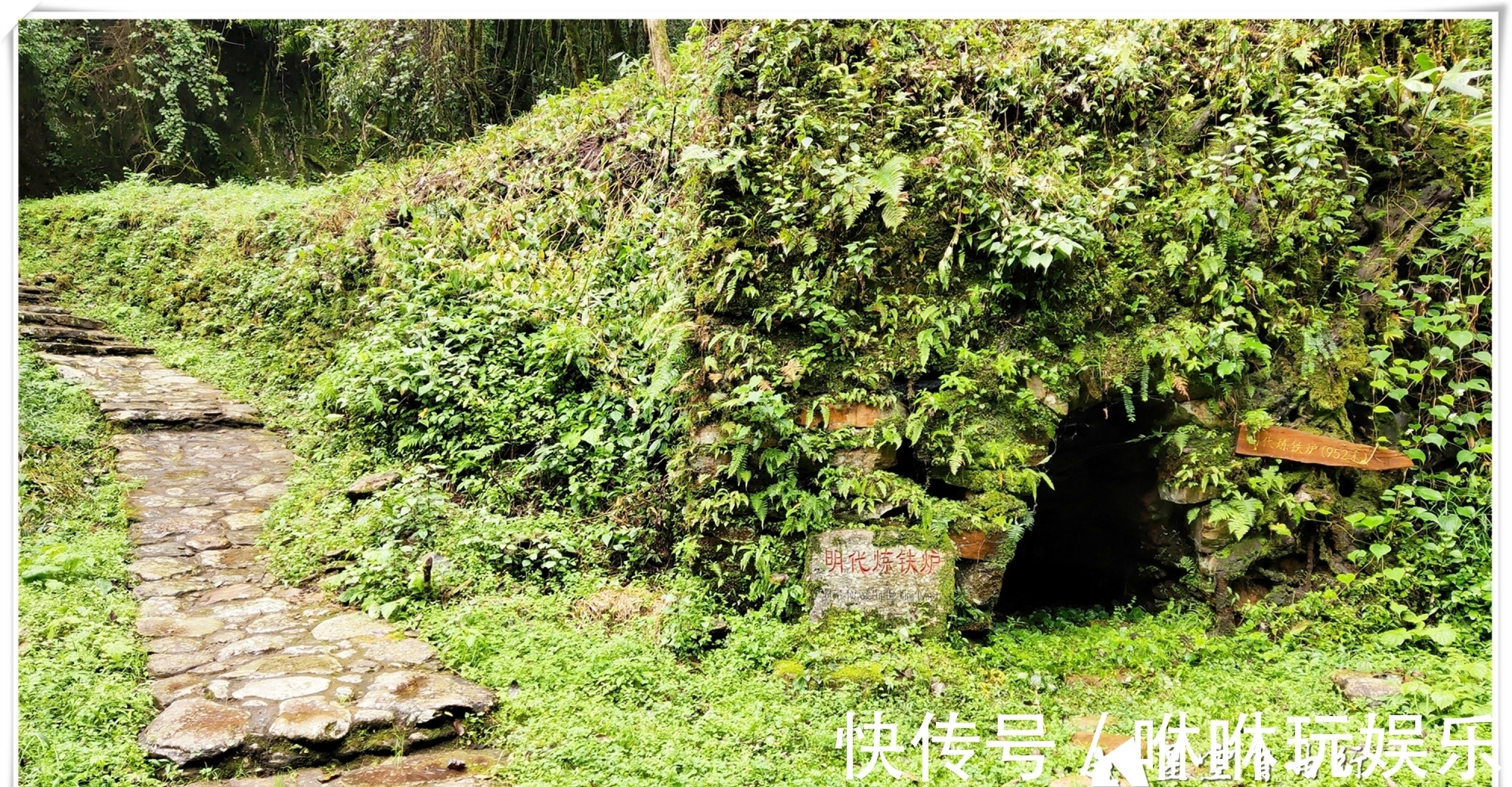 原始森林|自驾云南新平哀牢山，在雨中走茶马古道、体会马帮伙计的辛酸苦辣