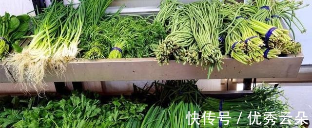 羊肉|这个菜鲜嫩营养,包成饺子,比韭菜白菜还好吃哦!