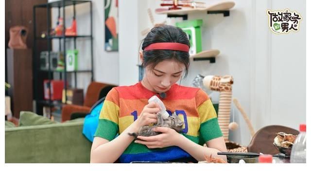 广告中心|爱奇艺广告投放中心为您带来综艺节目《做家务的男人3》广告价格