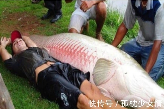 肉毒|5类鱼没营养,对人体有害,但很多人爱吃