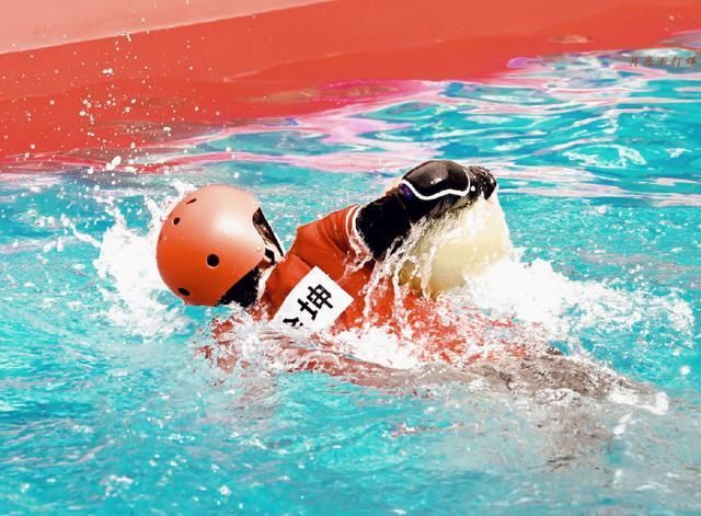 下水|蔡徐坤《跑男》下水,“脱妆”截图照火了,这脸确定有21岁