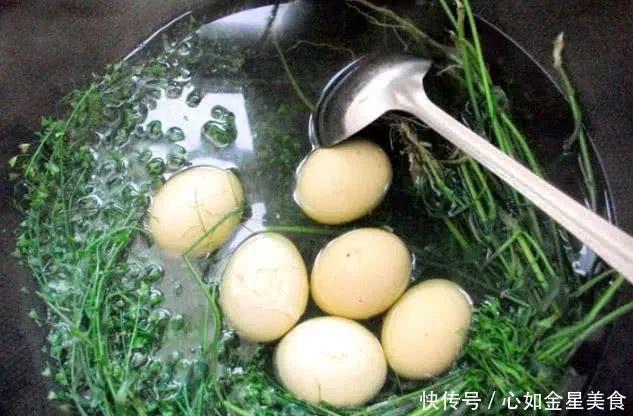 荠菜煮鸡蛋|劝告大家鸡蛋和此物一起煮,常食赶走癌细胞,双眼明亮,肝脏越来越健康