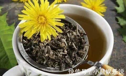 骨质疏松|每天用“蒲公英”泡水喝,坚持一段时间,这8件好事可能悄然来临