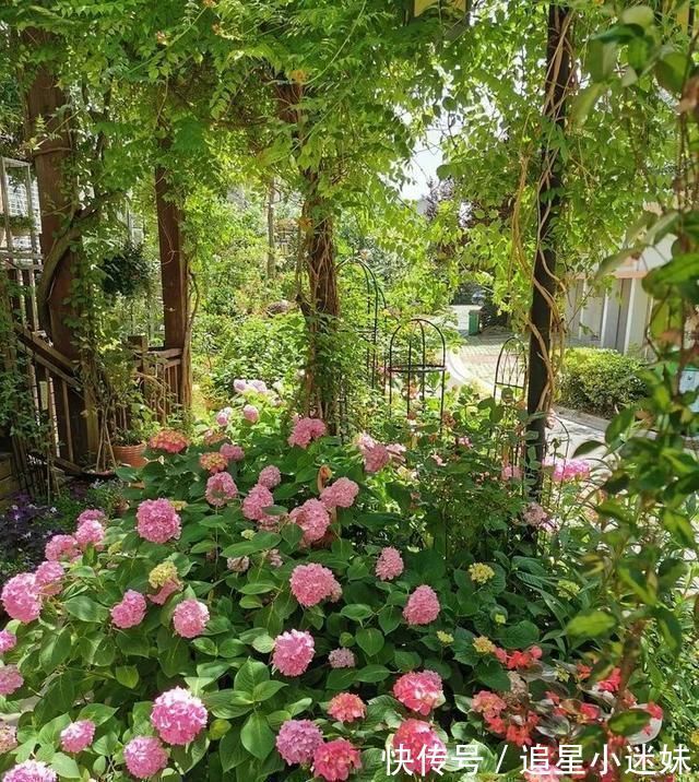 有了30平方的小院,能将日子过成了诗简单而精致,优雅而从容