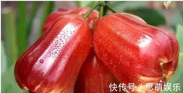 润肺|晚上当零食吃以下两个，排毒养颜，润肺止咳，大肚子变平了