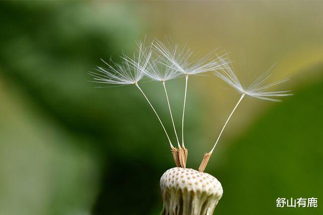心态|人到五十,调整心态,最有福气的生活方式,莫过于这两个字