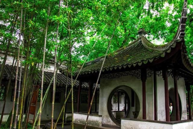 凤凰鸣矣，于彼高冈；梧桐生矣，于彼朝阳——拙政园之梧竹幽居