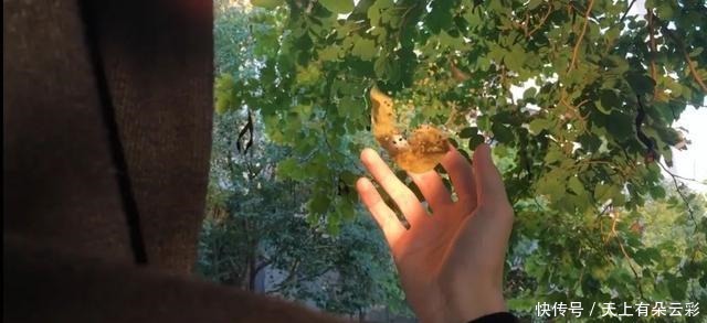 人物|短视频制作者莫贵凌与热爱进行一场对话