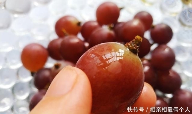 洗葡萄时,有人加盐,有人加面粉,老果农教你加1物,连皮都能吃