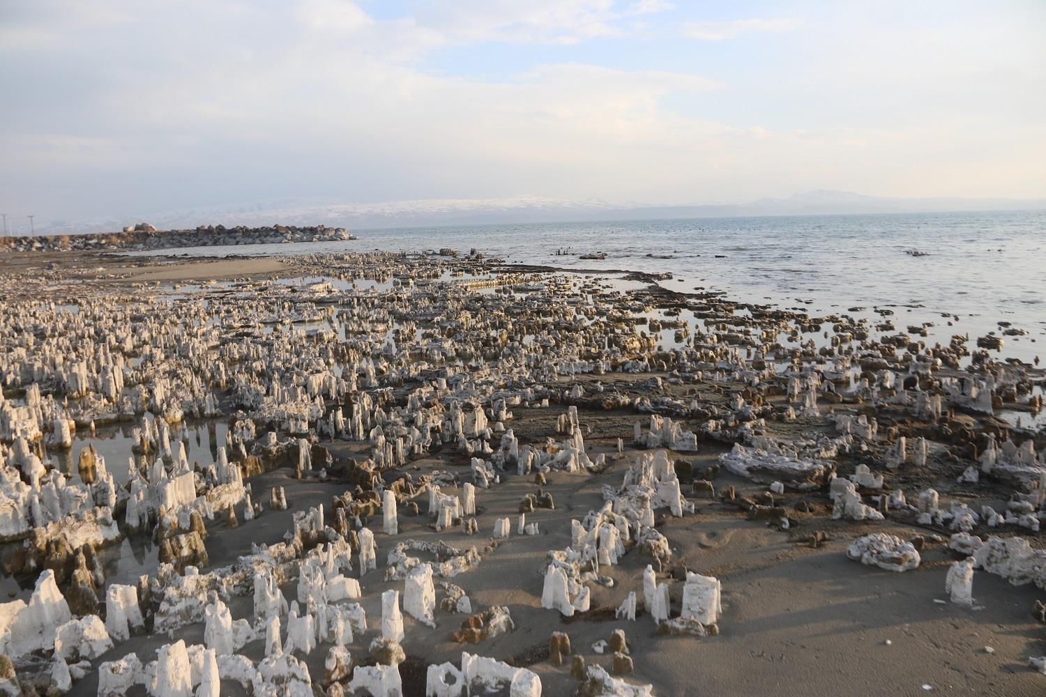 水位|土耳其凡恩湖水位降低 露出奇形怪状的微生物岩