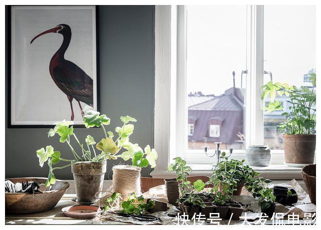 花园|参观53平小户型装修，步入式阳台设计成花园，回家也要照着做一个