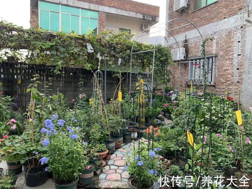 装修|农村没人要的平房,6万块钱买下来,花2万装修,养花正好