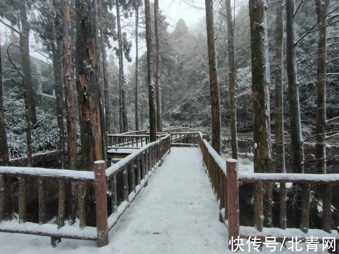 云海|太美了！台州最新雪景！括苍山跌至-10℃，再现云海奇观