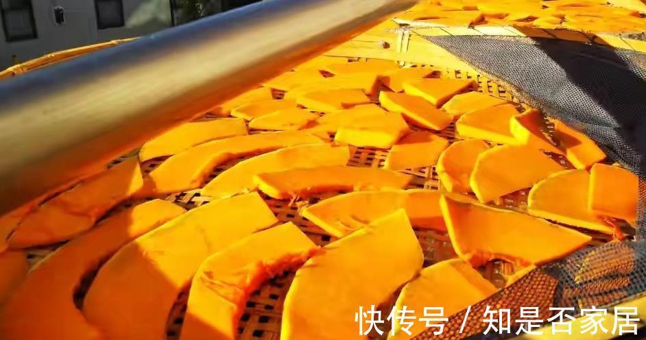 南瓜|菜园结的南瓜多得吃不完,我把南瓜晒干,没想到比牛肉干还好吃