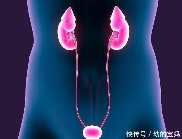 肾脏|男人最耗“阳气”的4件事,如果全没做过,身体或许会“感激”你