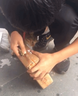 |搞笑GIF: 姐姐 你能矜持点吗