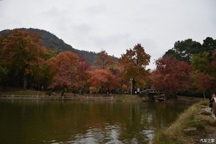 天平山|【喜迎国庆】停车坐爱枫林晚，霜叶红于二月花。游天平山赏枫叶