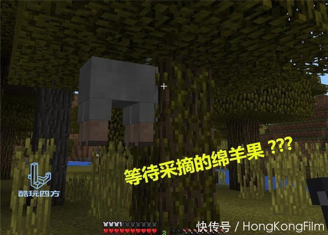 世界|我的世界:完美巧合拍到的MC现象,明明没有PS却让人觉得是假的