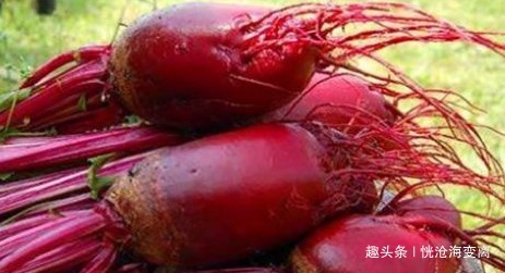 子宫|想长寿先排毒，多吃的食物，润肠通便，排除毒素，轻松甩掉肚腩