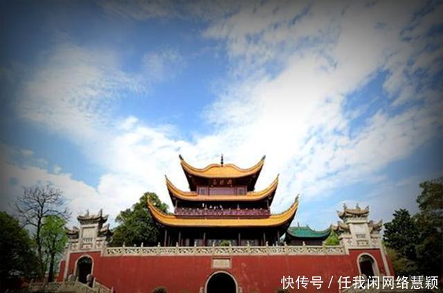 晓东|和晓东社长七律7首,催人节序太匆匆,一夜萧萧万树空