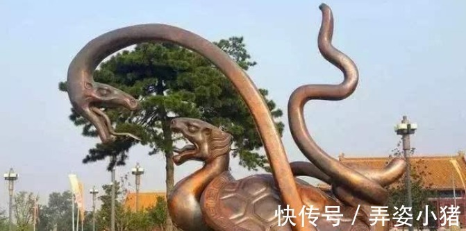 生活环境$古人掘井后,为何要在井里放鱼或乌龟?老祖宗的智慧不服不行