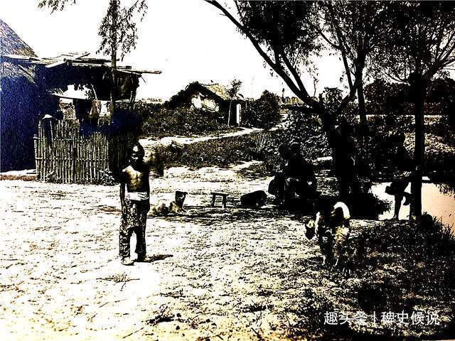 钱镇$清代奇案兄弟上山开荒,双双离奇被害,县令慧眼擒凶,连破两案