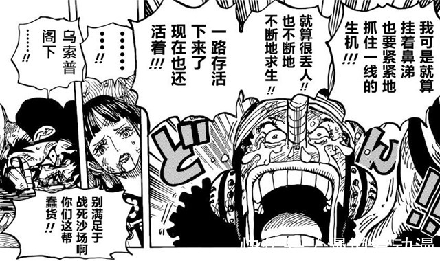 乌索普|海贼王1036话:乌索普生存之道,不轻言放弃生命,不随便抛下同伴