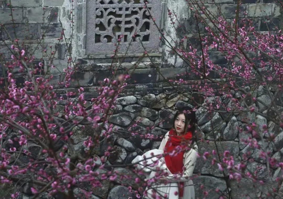 老年|怦然心动！来三门这座“中国画里的村庄”，查收春日小“梅”好！