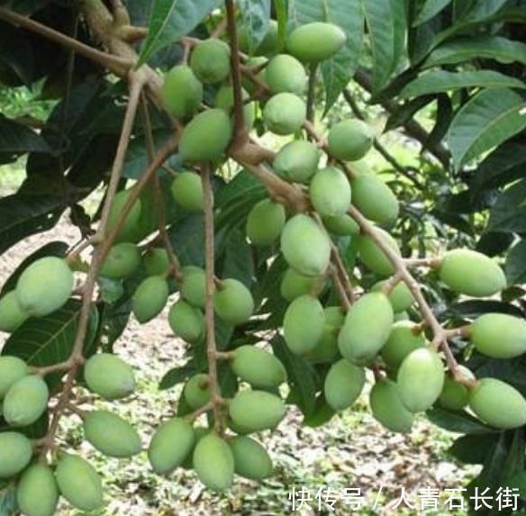 女性衰老的“天敵”,常吃6物常吃,拒絕皺紋,皮膚光滑更顯年輕