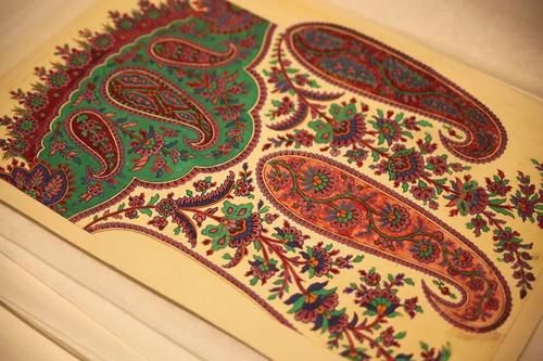 大寒时节的颈间风度——从纳芙蒂蒂王后开启的围巾简史