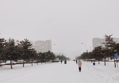 故乡|故乡的这一场大雪