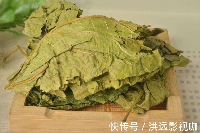 煮水|降血糖没有那么难,摘几片树叶煮水喝,血糖或能嗖嗖掉