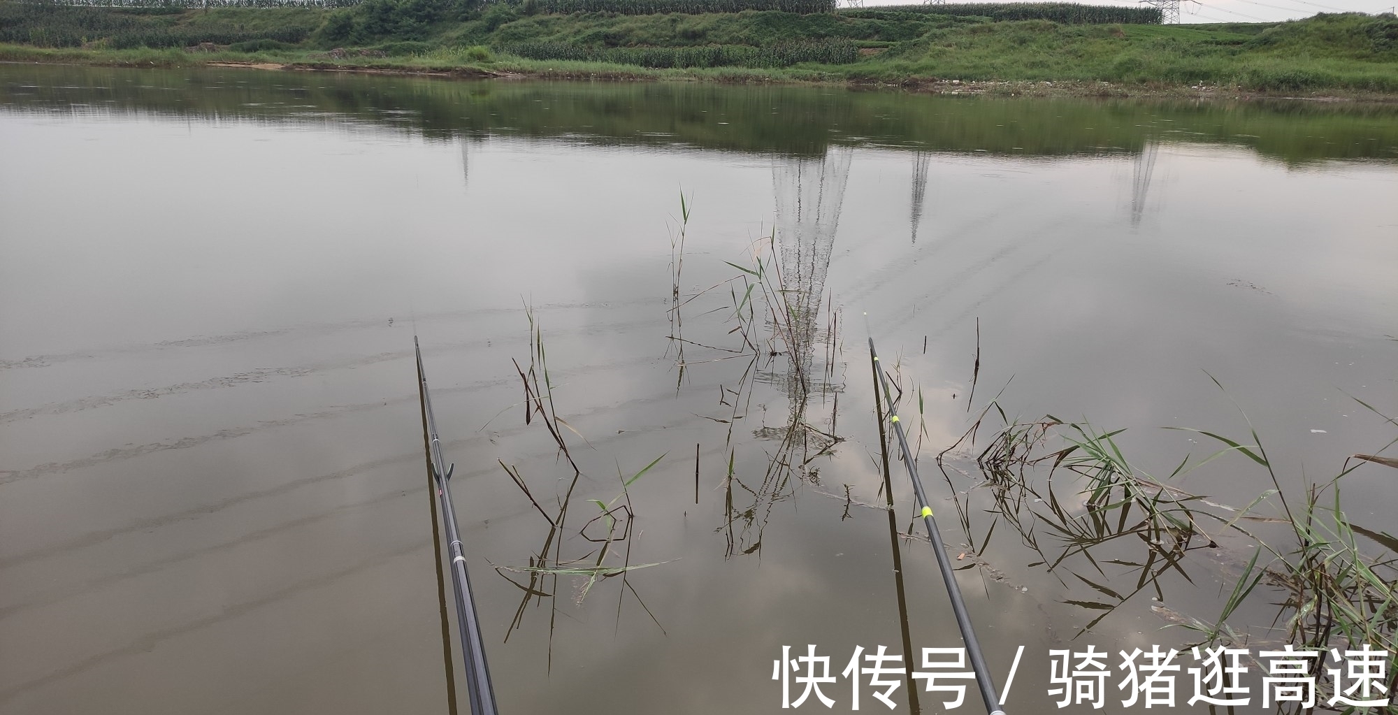 钓鲫鱼20多年,才发现秋季钓鲫鱼最实用的四招,鱼获翻倍就靠它了