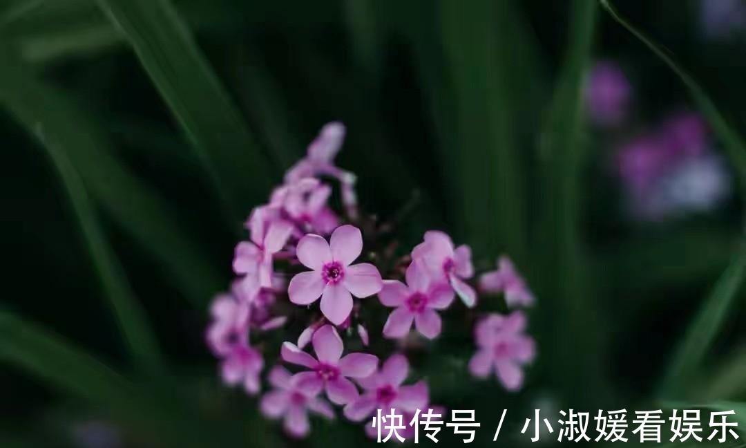 偏心|亲兄弟之间为什么会像“仇人”一样?多半因为这些原因