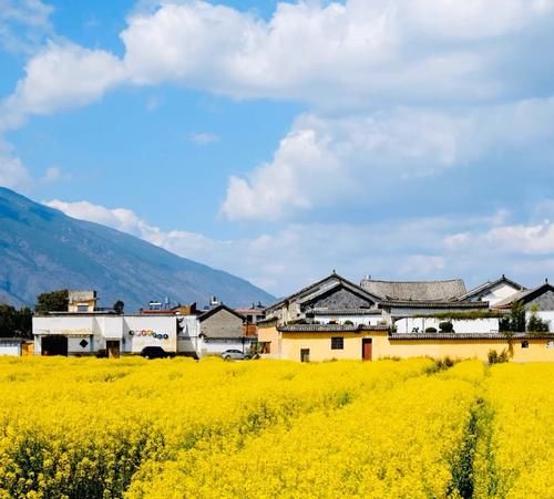 古城下的花海—美如画卷