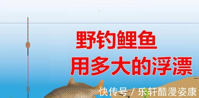 野钓鲤鱼用多大的浮漂一条公式轻松搞定,新手用过都说好