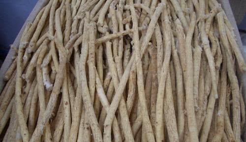 愈合者|黄芪跟它是“一家子”,坚持泡水喝,养肝强肾,血栓也悄悄走开