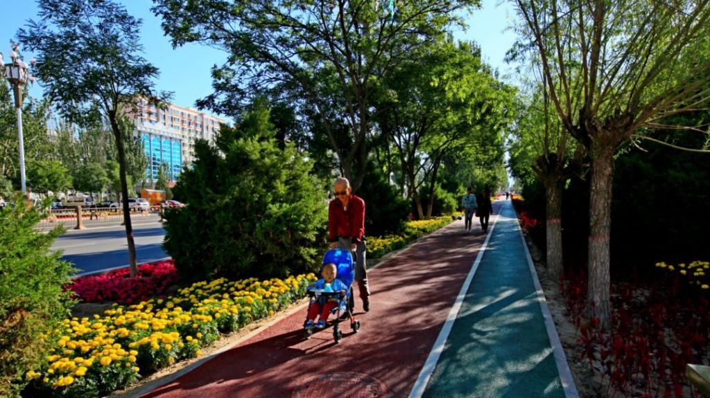 对不起|推荐丨对不起,别再找我,我要去阿拉善了