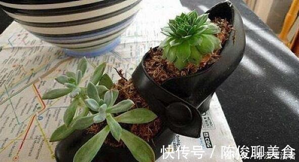 漂亮|这些破烂不要扔,做成“小花盆”,个性又漂亮,比买的强“百倍”!